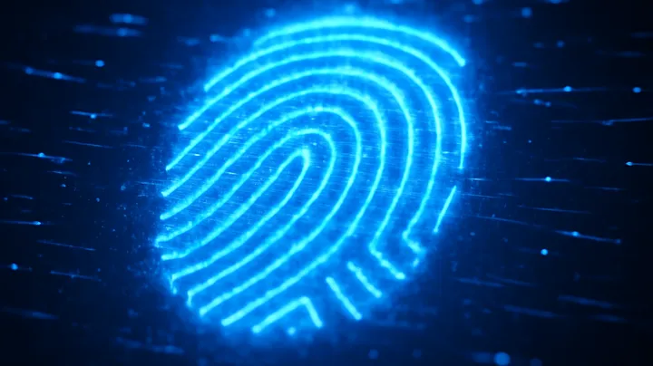 How to Use the YYYPH COM Login Portal